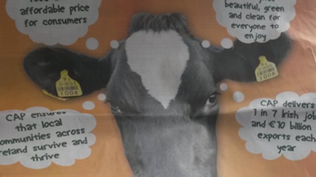 'The CAP is vital to livelihoods rural in Ireland'