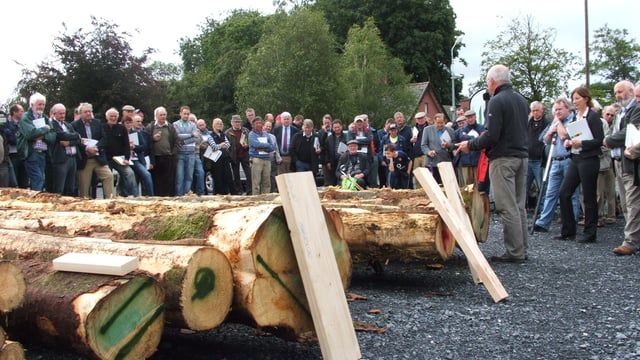 Timber quality has an important bearing on the market price offered