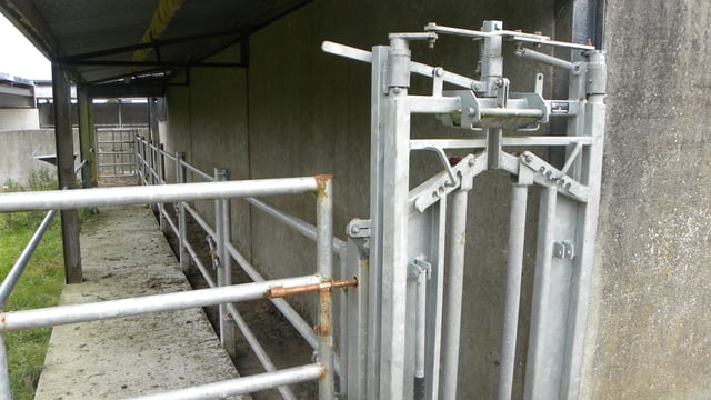 Over 1,000 farmers apply for safety grant in 3 weeks