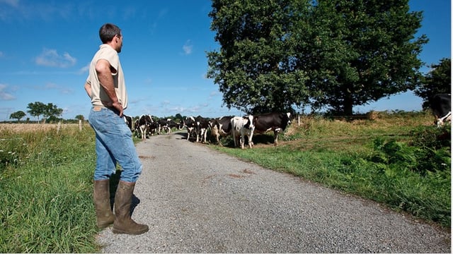 Minimum wage increase for agricultural workers announced in Northern Ireland