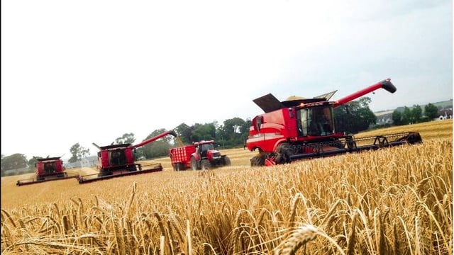 Trade suppliers must support grain farmers - IFA