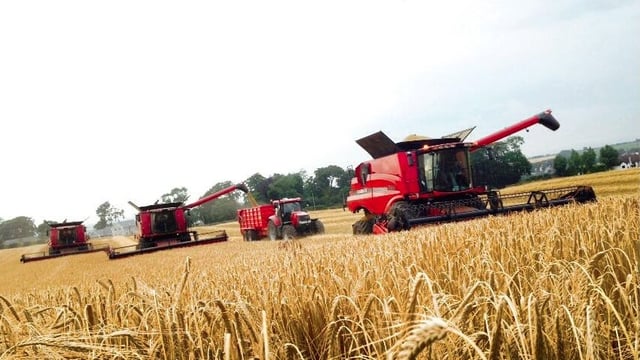 Industry must support growers to pull through difficult year