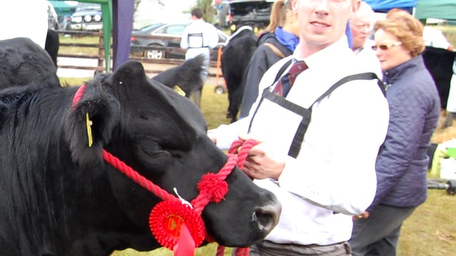 Tullamore Show - Commercial Cattle results