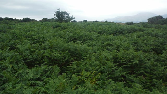 Minister emphasises 'flexibility' of land eligibility rules for farmers