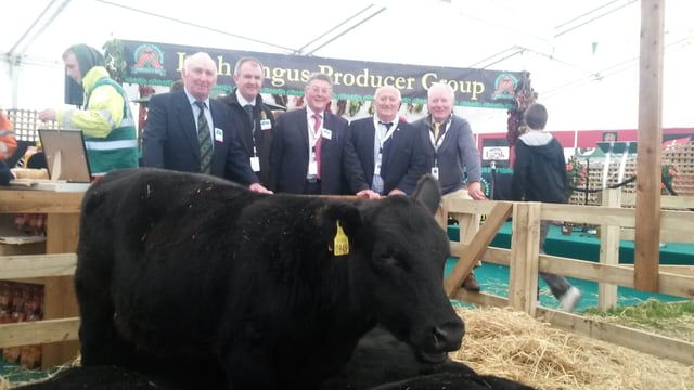 Angus producers' bonus worth €2.8 million