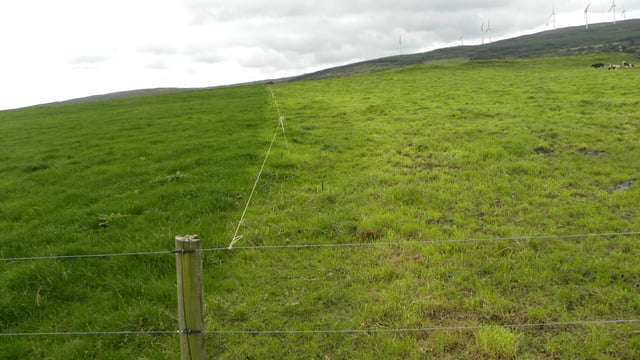 Avoiding early grass deficits this autumn