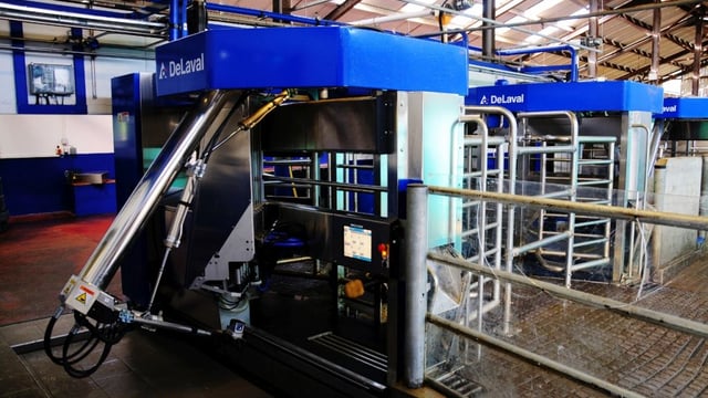 DeLaval showcase milking, cooling and feeding at Ploughing