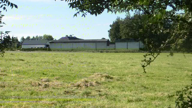 EU agriculture census to come to Ireland in June
