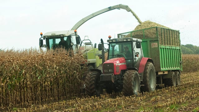 Caution required as maize harvest gets underway