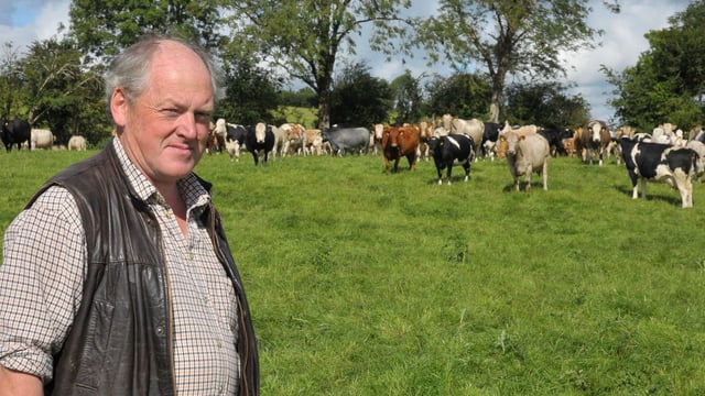 Vet urges vaccination of weanlings against pneumonia attack 