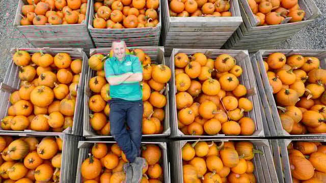 First pumpkins of the season hit the shelves
