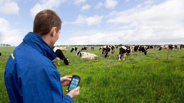 Dairymaster Moo-ve for greater profitability on dairy farms