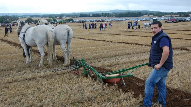 82,000 flock to the Ploughing on first day