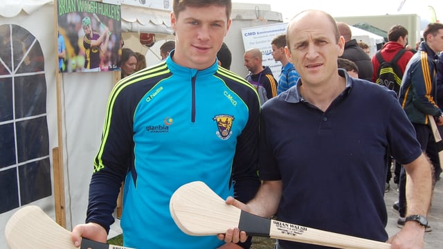 90% of 30,000 hurleys sold at Ploughing made with Scandinavian ash