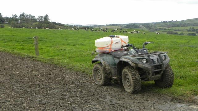 No helmet used in half of quad-bike accidents - study