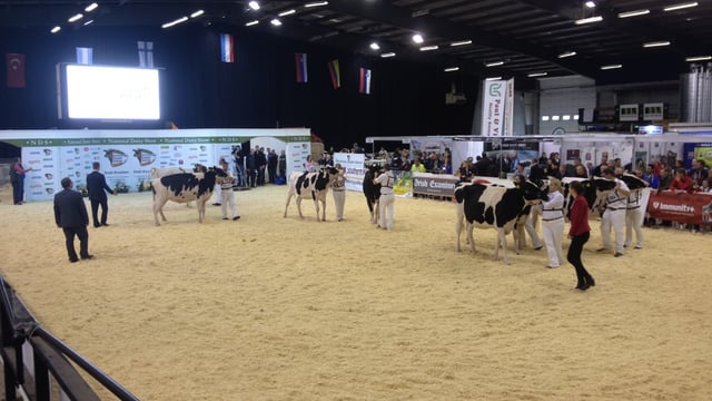 Entries up at this years Millstreet Dairy Show