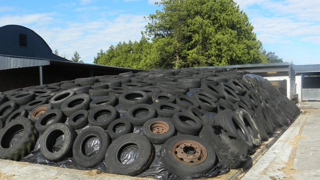 MEP Carthy raises farm inspections burden with Commissioner Ciolos
