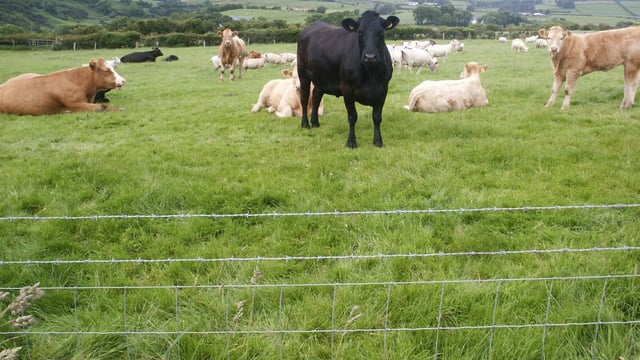 Maximising benefits from agricultural land