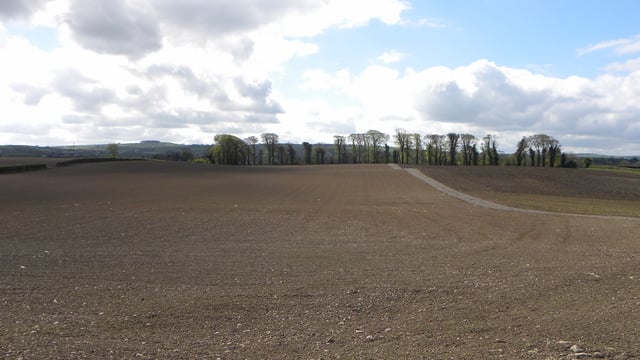Seed availability forms backdrop to tillage planning