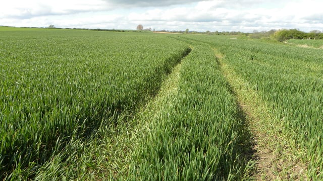 Tillage by far the most environmentally friendly sector