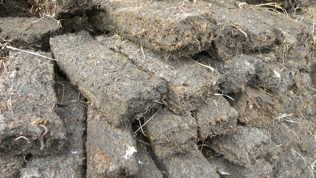 €5,000 fine issued for illegal turf-cutting in Westmeath
