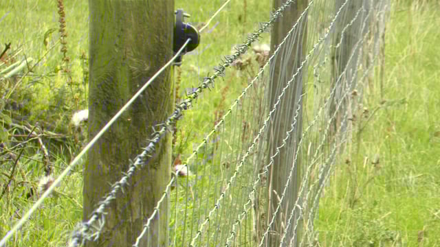 Amendments made Traunches 3 and 4 of NI's Environmental Farming Scheme