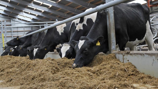 'A complete generation of farm managers has been lost'