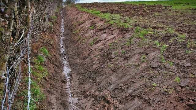 Relationship between agriculture and water quality improving