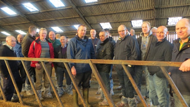 Cow welfare on large Scottish dairy farms