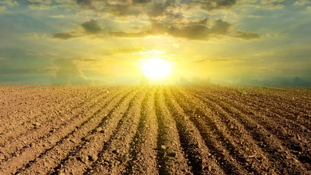 Reflections on a challenging year for farmers