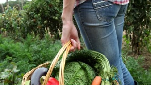 The steps involved in converting to organic farming
