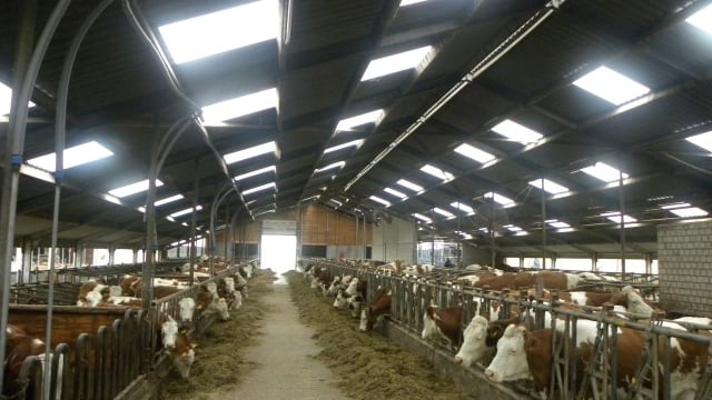 Why some European dairy farmers want supply control in times of crisis