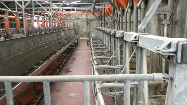 Dairy farmers encouraged to manage production in February and March
