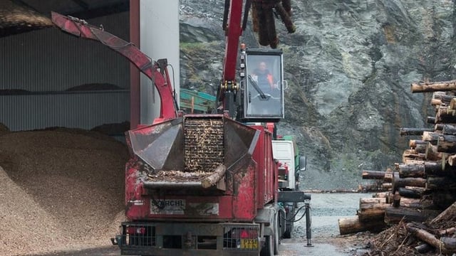 IFA welcomes Government forestry investment