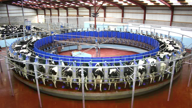 Dairy expansion: 'Alarm bells should be ringing now'