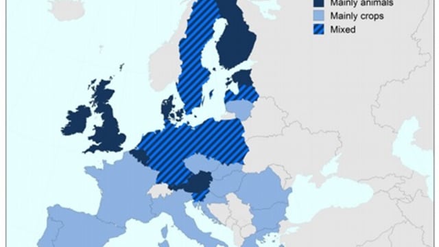 Meat and dairy accounts for 43% of EU ag output, but 70% of Ireland's