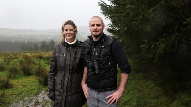 Does Hen Harrier conservation render farms worthless?