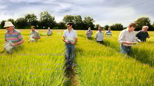 Three new tillage demonstration farms planned by Teagasc