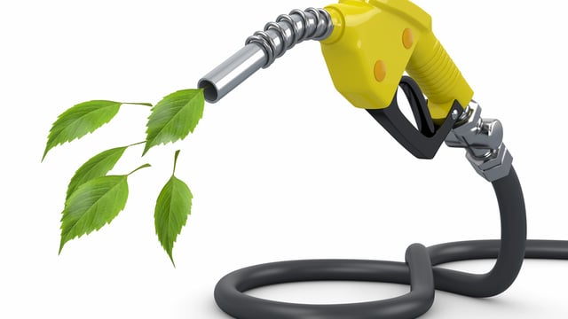 EU biofuel policy has no impact on Irish feed prices