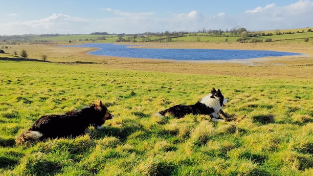 Macra reaches out to those in rural isolation
