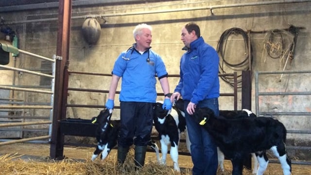 How one farmer went from treating 20% of calves for pneumonia to none