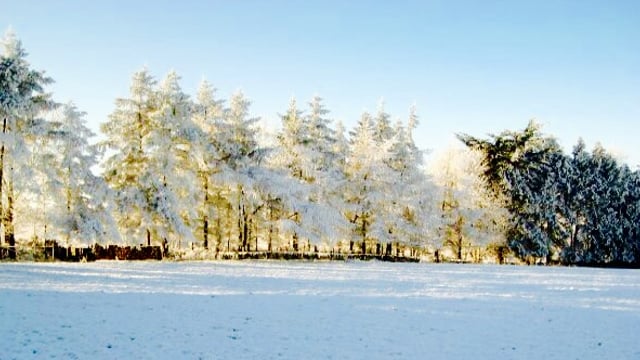 This picture of Ireland this day 5 years ago will blow your mind