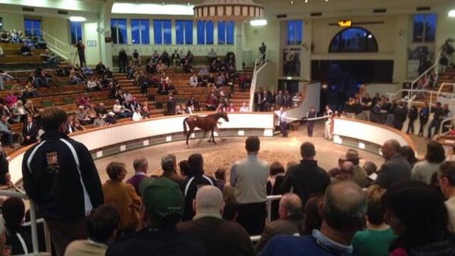 Coveney launches report for the sport horse industry