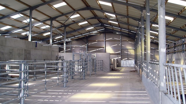 Many young farmers to miss out on 60% farm investment grant