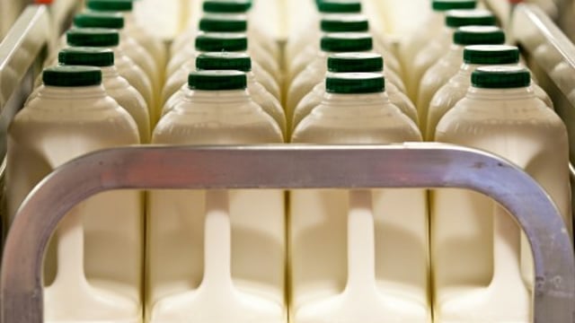UK dairy processor sees profits slump by 60%
