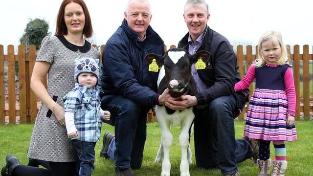 Kerry farmer breeds 400 EBI bull calf