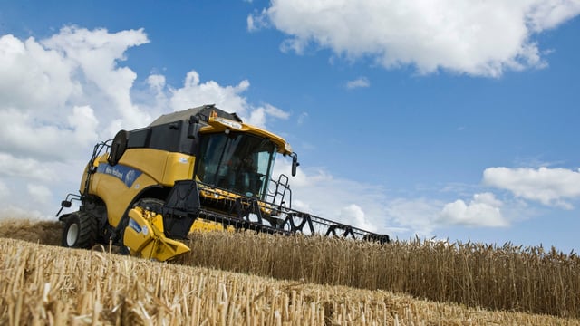 New Zealand farmer breaks wheat growing world record