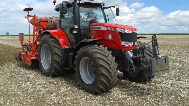 Mid-October optimal time to sow winter wheat crops