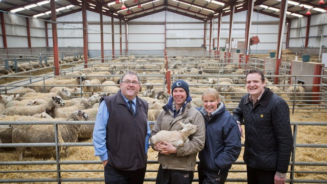 Farmers with spare sheds encouraged to grow turkeys in run-up to Christmas