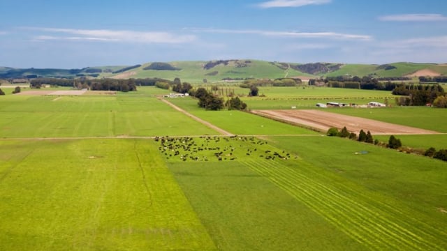 See pictures of a massive 2,900 acre New Zealand farm that's for sale